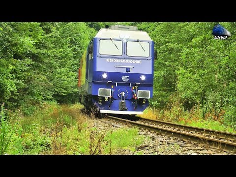 Trenurile Dimineții/Morning Trains in Defileul Crișului Repede - 23 July 2019