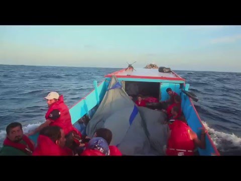 Chasing Asylum - Stikla