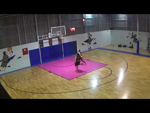 VIKINGS - ΕΛΛΗΝΟΡΩΣΩΝ BULLS 65-43 04/06/2019 DYNAMIC LEAGUE