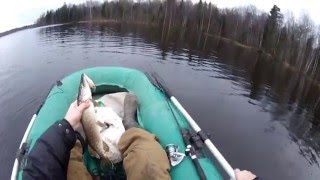 Рыбалка в конце декабря на щуку