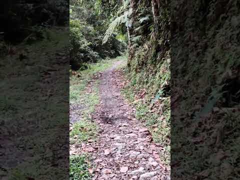 mi despedida compositor Santiago tovar Alvarez Quipama Boyacá 2026 #musica