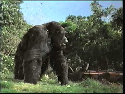 The Lion King 2: Simba's Pride Movie Trailer The Lion King 2: Simba's Pride Movie Trailer