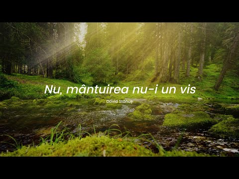 David Stănuș - Nu, mântuirea nu-i un vis
