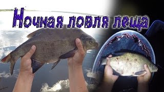 Ссылка