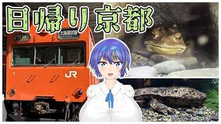 【日帰り旅】京都鉄道博物館と京都水族館へ行く日帰り旅【CeVIO】