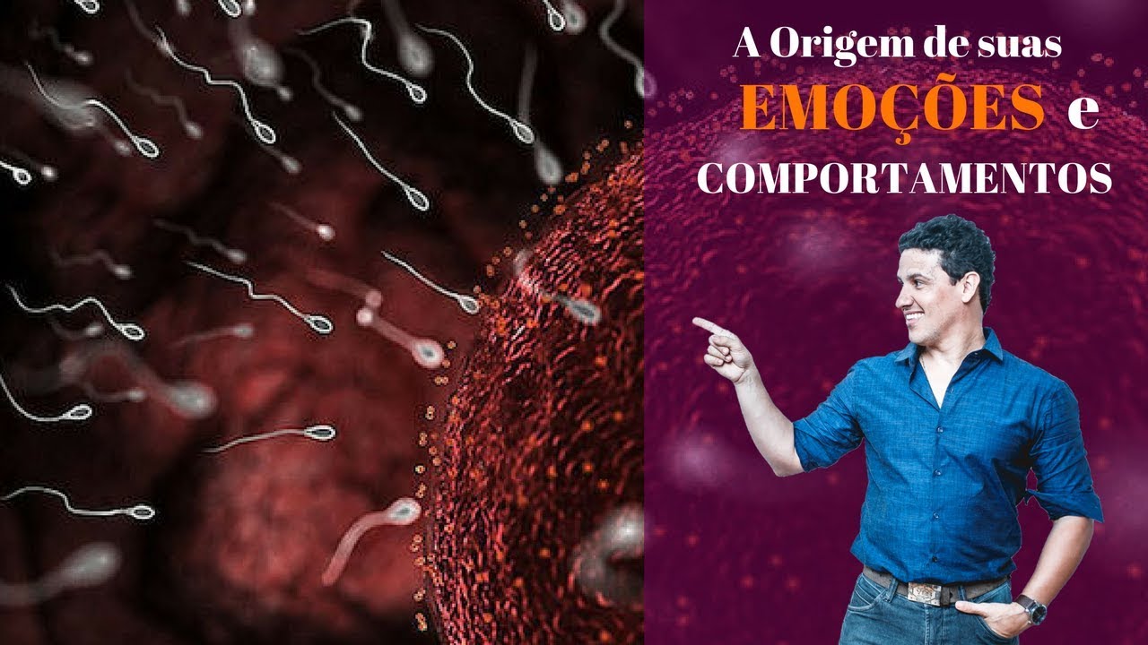 A origem de suas emoções e comportamentos na vida!