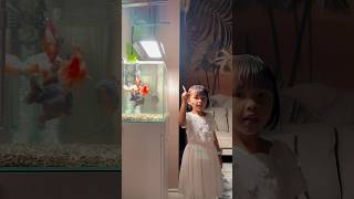 Download lagu Salfok sama lampu aquariumnya bisa beerubah warnaπ #shortviral #shortsvideo #shorts #trending #fyp mp3 Download lagu Salfok sama lampu aquariumnya bisa beerubah warnaπ #shortviral #shortsvideo #shorts #trending #fyp mp3