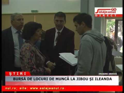 BURSA DE LOCURI DE DE MUNCA LA JIBOU SI ILEANDA