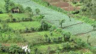 preview picture of video 'Suasana Kebun Sayur di Malino'