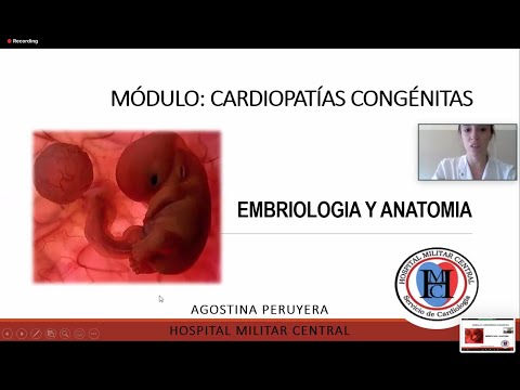 Embryology and Anatomy Class Part 1 - Congenital Heart Disease Module.