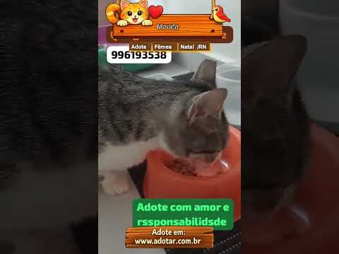 Vídeo de Merida 