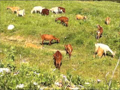 Sesion house music mix musica electronica verano 2013 Julio Agosto DJ-Moi