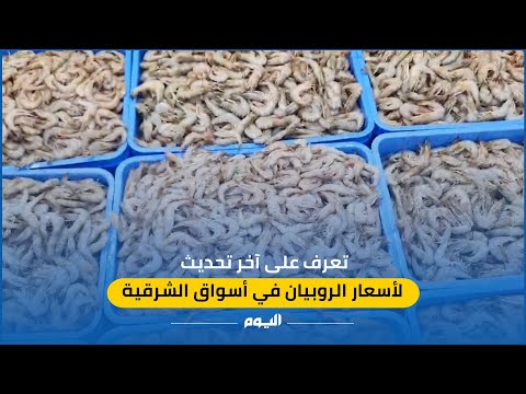 تعرف على آخر تحديث لأسعار الروبيان في أسواق الشرقية
