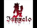 Ninja ICP