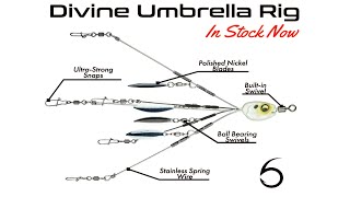 Umbrella Rig Videos