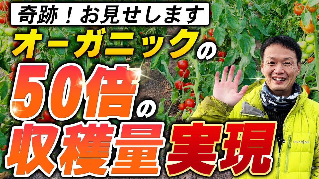 冷夏でブドウ50倍!土と種が持つ力