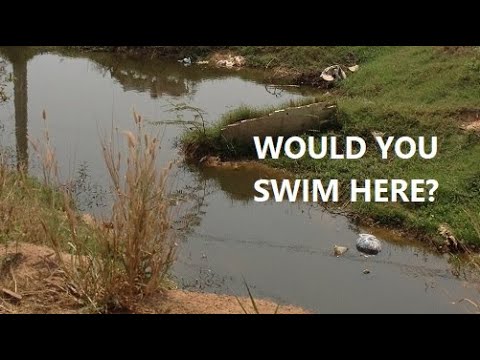 Can Pool Water Make You Sick?