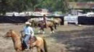 Mega Válida San Felipe - Abril 2007 - Cutting 1