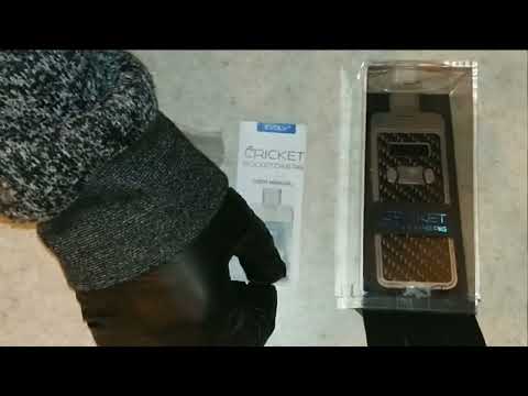 The Cricket by Evolv Vapor