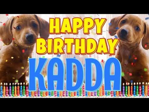 Happy Birthday Kadda! ( Funny Talking Dogs ) What Is Free On My Birthday