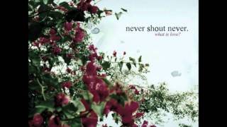 The Past- Never Shout Never