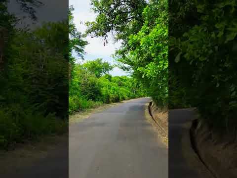 Calle a San Dionisio Usulután Este #viralreelsシ #movimientoelamorhacealmundogirar #elsalvador