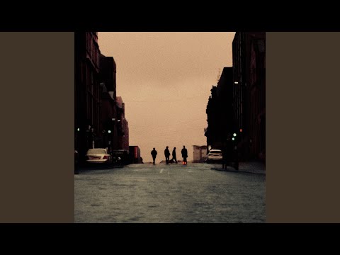 Video thumbnail for Waterbirds