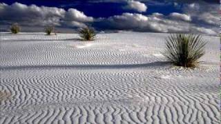 Dreaming Trees - Pat Metheny Trio