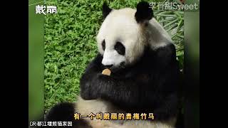 kid fuuny,songs for kids,for kids,baby songsOkolele,oko lele,Oko and Lele,oko lele officail,Oko 4