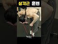 장첸이 운동에 빠진 이유 #shorts