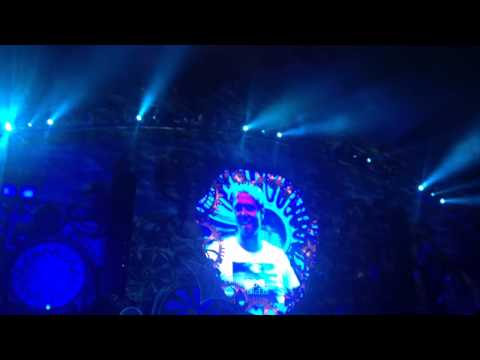 Tomorrowland 2014 live - Armin Van Buuren Weekend 1