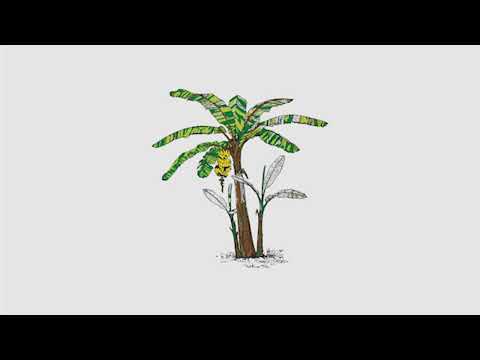 Ale de Maio - Red Moon Night