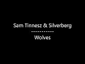 Sam Tinnesz & Silverberg - Wolves (Lyrics)