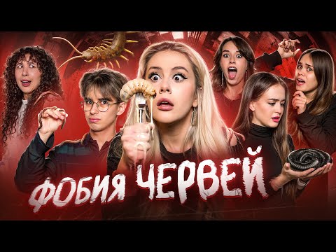 LyapoTanya and 5 more