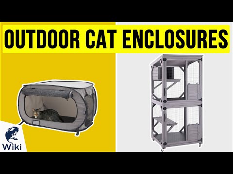 10 Best Outdoor Cat Enclosures 2020