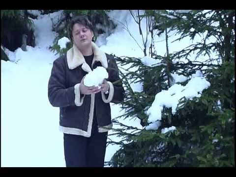 Fuego - Sara` Craciunului nost` - DVD - Colind pentru parinti