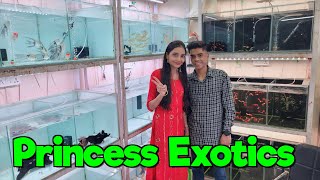 Aquarium Fish Stock at Princess Exotics I Delivery Available All Over India