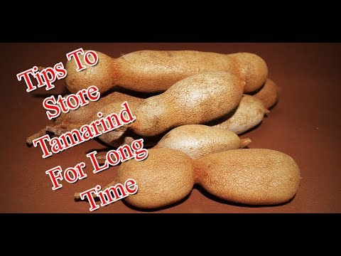download lagu mp3 mp4 How Long Does Fresh Tamarind Last, download lagu How Long Does Fresh Tamarind Last gratis, unduh video klip How Long Does Fresh Tamarind Last