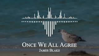 James Blake - Once We All Agree