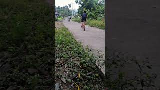 Download lagu Menolak tua 🤣🤣🤣 mp3 Download lagu Menolak tua 🤣🤣🤣 mp3