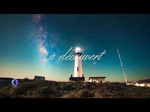 PNL X Ninho Type Beat - "A Decouvert" | Instru Rap 2021