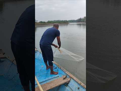 best fisherman amazing net fishing short viral video beautiful #riverfish #fishinglife