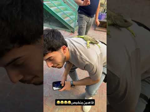 😂😂😂😂😂 #اكسبلور #حكونجي #يزن_ابوعجوة #shorts