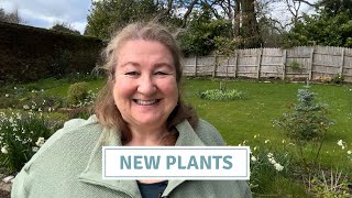 Pruning + Planting Hydrangea, Viburnum + Perennials // Cottoverdi