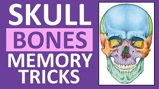 Skull Bones Memory Tricks