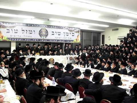 Engagement Bobover Rav - Aleksander Rav in Boro Park Part 2