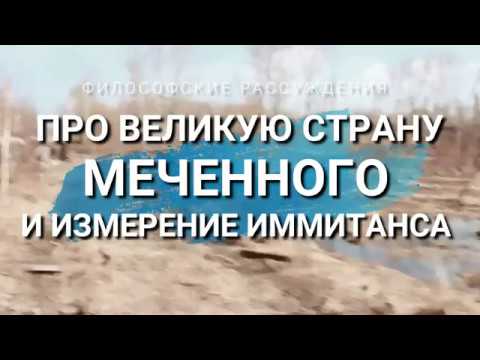 Про великую страну, Мишку и измеритель иммитанса. Философско-измерительное видео.