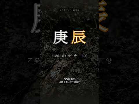 흙에 묻힌 원광 | 경진(庚辰) 일주