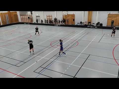 LINKÖPING IBK - IBF Norrköping D2 23/24
