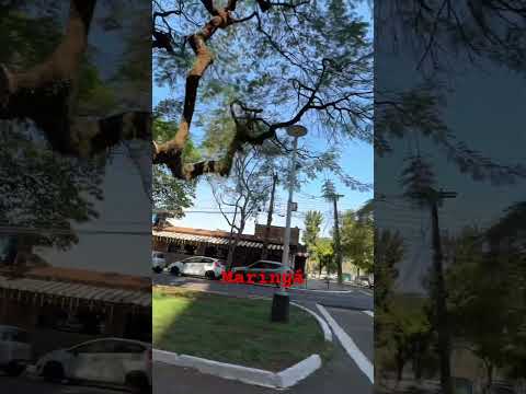#maringaparana #maringa #mga #parana #parana #shortbeta #shortviral #shortsh #yutubeshorts #shorts